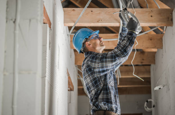 Best Electrical Upgrades for Homes  in Oelwein, IA