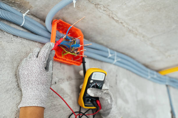 Best Residential Electrician Services  in Oelwein, IA